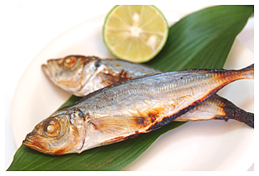 ���A�W�ۊ����ɂ͒����̉ʏ`�������Ղ肩���āI