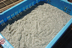 ���g�����ꂽ�΂���̃h�����i�ǂ�߁E�����炷�j