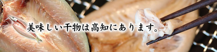 美味しい干物は高知にあります。干物 通販 中田遊亀商店