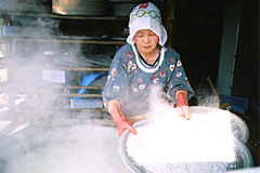 しらす茹で上げ風景B