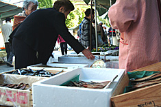 高知はこだわりのあるお客様ばかりです