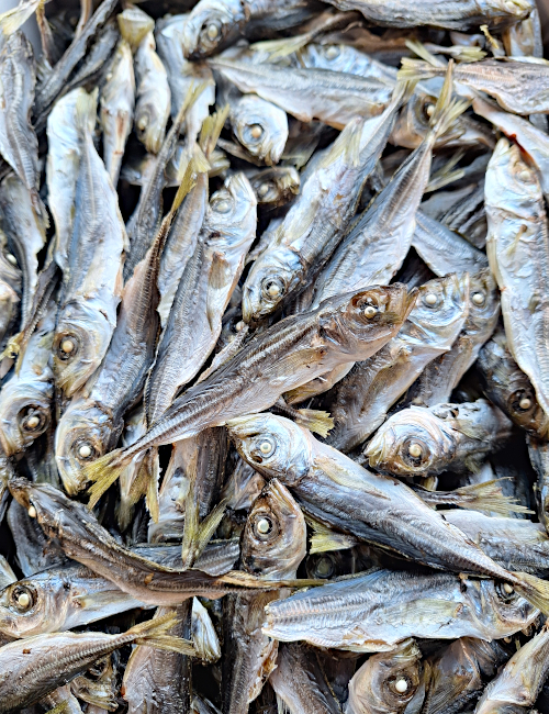 �A�W�ϊ����i���������Ⴑ�j