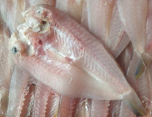 �A�}�_�C��銱������