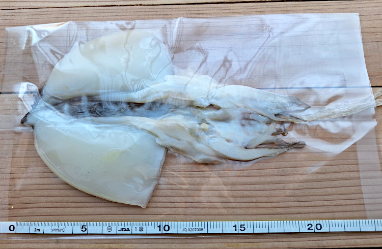 �A�I���C�J�̃T�C�Y