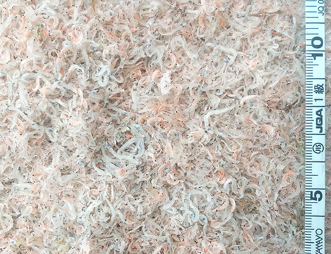 �ӂ�ӂ튱���C�V���Ⴑ