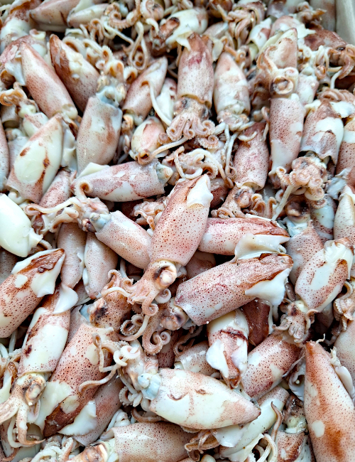 ���g���q�C�J