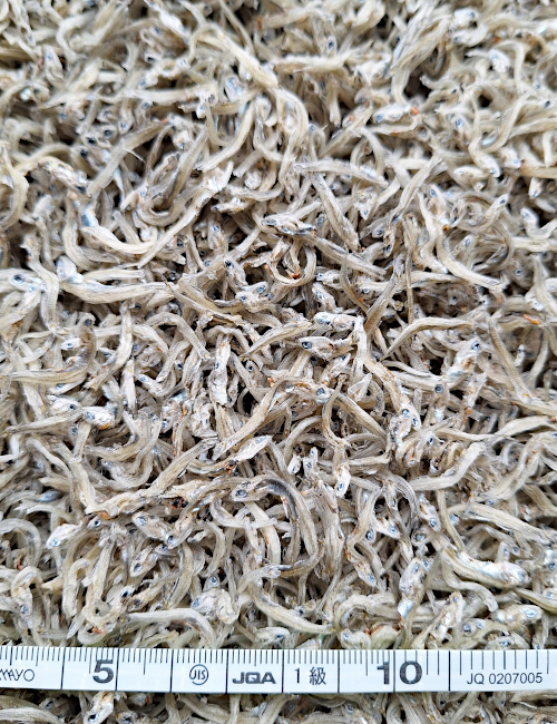 ���Ԍ��� �㊱����߂�