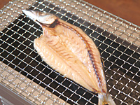 �J�}�X�����i���܂������j�͏Ă����Ă��ō��ɔ��������ł�