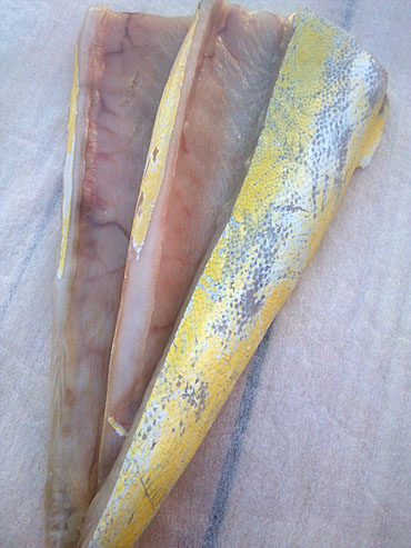 �V�C���͂��ډ�����