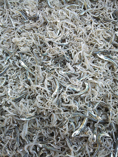 きびなご入りのちりめんじゃこ再入荷です。酢みかんに抜群に良く合います。ぜひご一緒にどうぞ♪ #中田遊亀商店  #ちりめんじゃこ  #きびなご #通販 #お取り寄せ