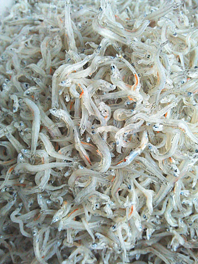 期間限定ちりめん【ご注文ご希望番号：S059】