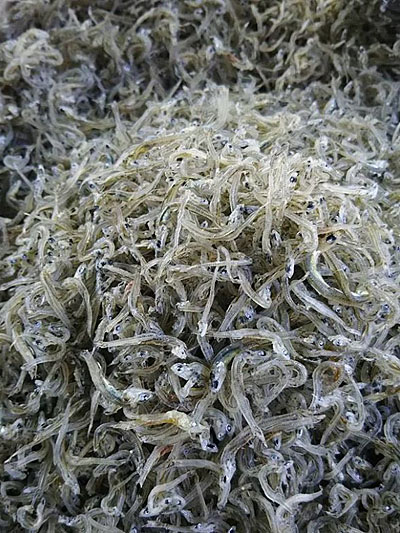 ������߂񂶂Ⴑ