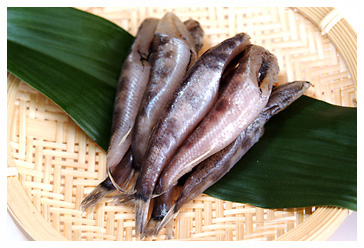 �t�̖��o�I�|�����Q�̖ڌ��i�߂Ђ���j�����I