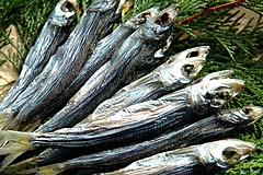 ���̓��̃v���[���g�ɐl�C�I������߂��킵�ۊ���