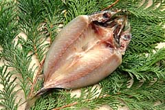 ���̓��̃v���[���g�ɐl�C�I�A�W����