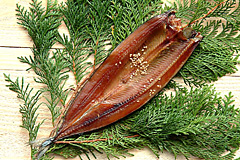 ���̓��̃v���[���g�ɐl�C�I�T���}���̊���